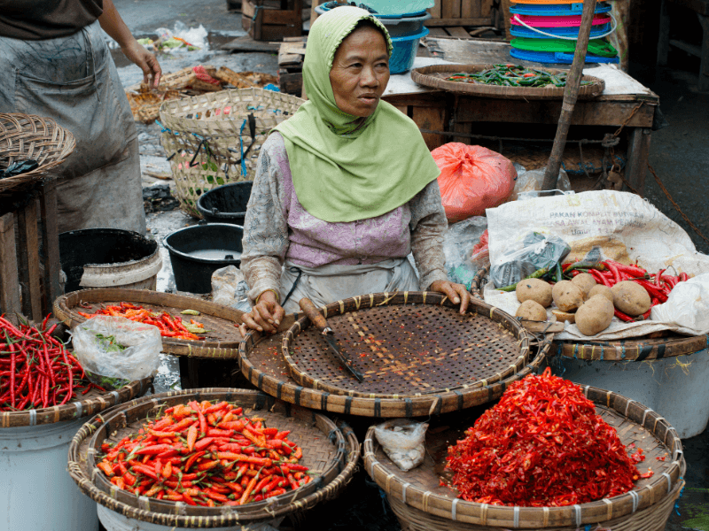 Ớt tác động đến nông dân