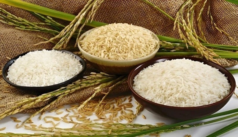 Rice