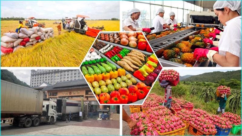 Potential market for Vietnamese agricultural products
