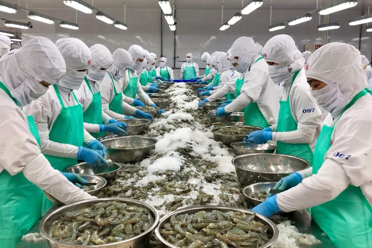 Seafood export