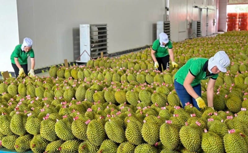 Important notes when exporting agricultural products