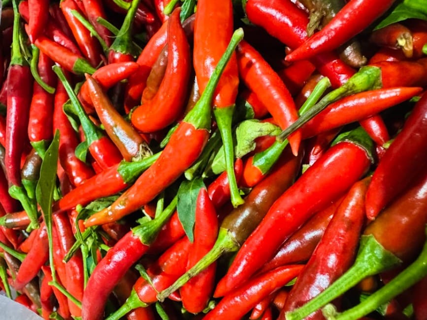 Ensuring Food Safety and Hygiene