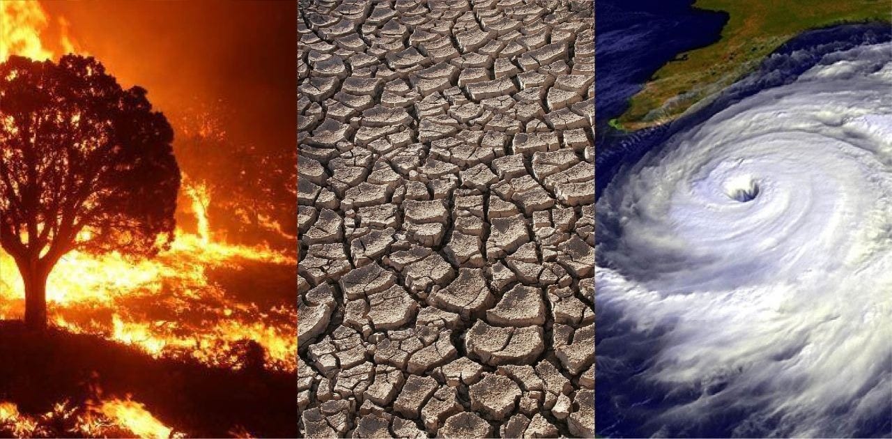 Impact of Climate Change