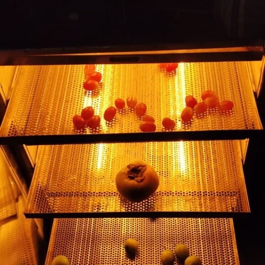 Microwave Drying & Infrared Drying