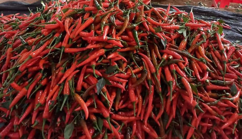 Minimize damage rate, fail-safe