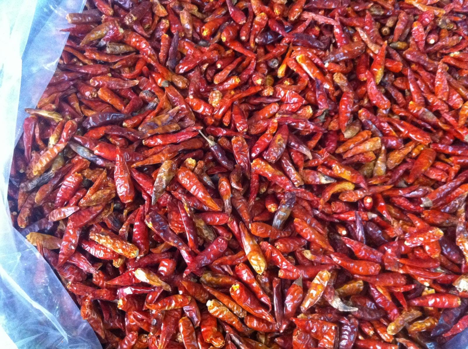 Ớt sấy khô và bột ớt