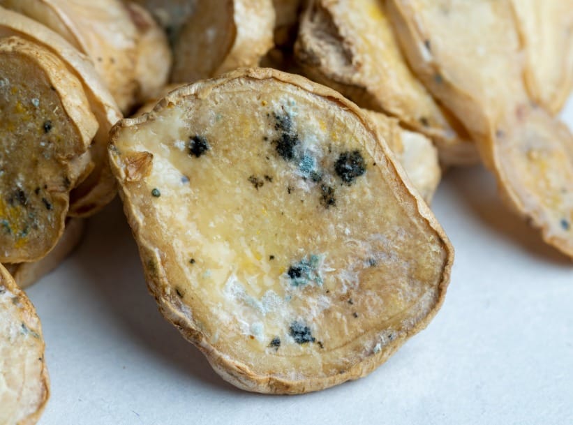 Can you eat ginger that has turned green?