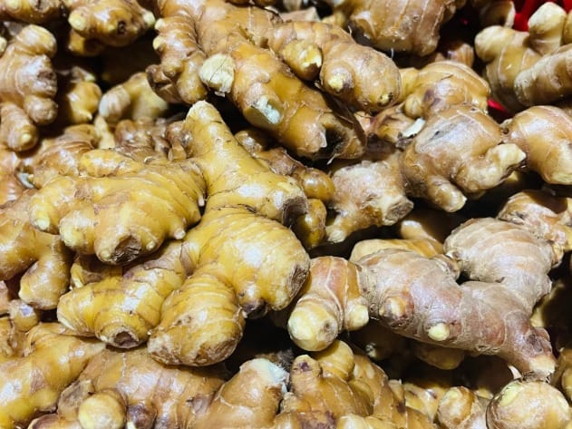 Đặc điểm của gừng ta