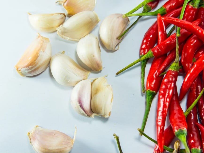 Hỗ trợ tăng cường sức đề kháng và miễn dịch