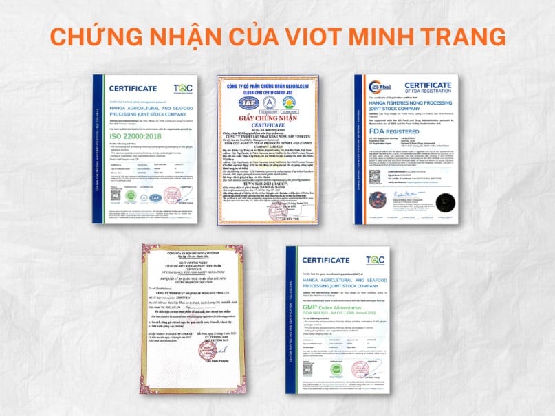Tại sao nên chọn gừng từ Viot Minh Trang?