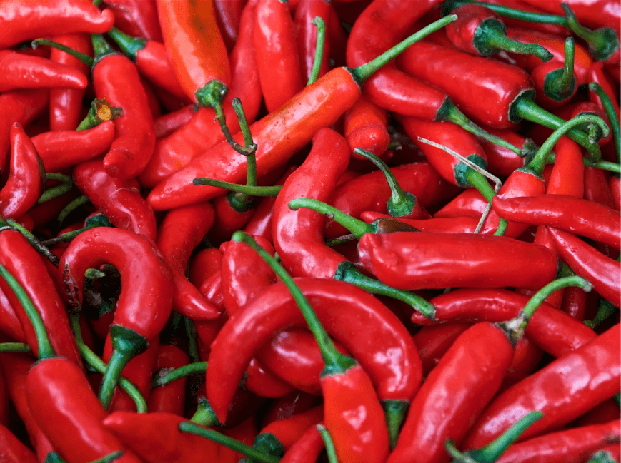 The hottest chili varieties in Vietnam