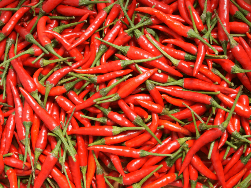 Thổ nhưỡng đa dạng và màu mỡ