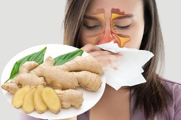 Ginger juice combined with perilla leaves cures cough and phlegm