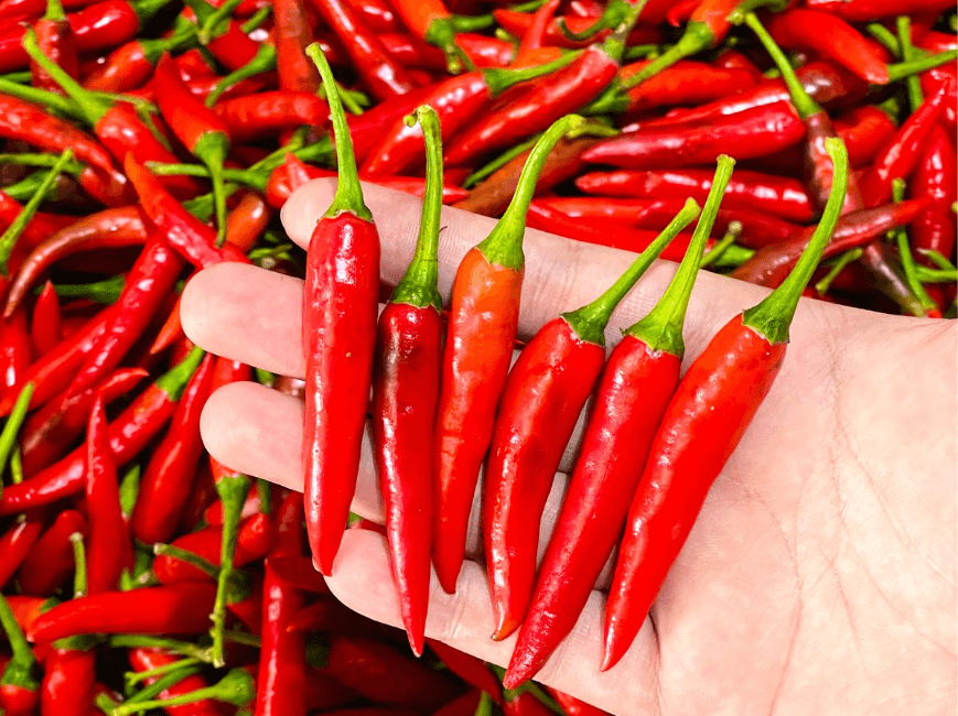 Natural pain reliever and anti-inflammatory