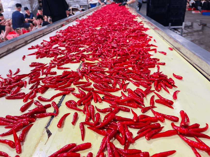 Packaging and storage of ground chili