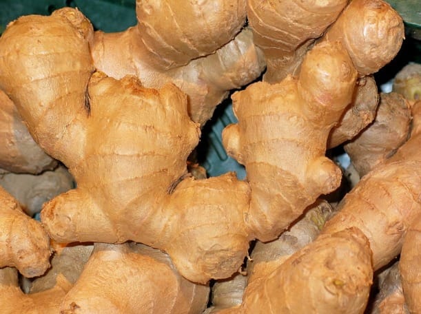 Thủ tục và yêu cầu khi xuất khẩu gừng tươi