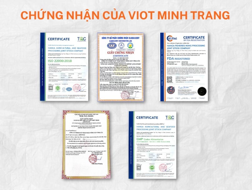 Viot Minh Trang - Supplier of Fresh Ginger with Export Standards from Vietnam