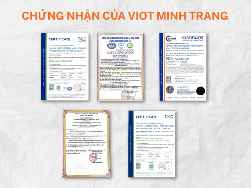 Viot Minh Trang - Supplier of high-quality ginger with export standards ensuring safety