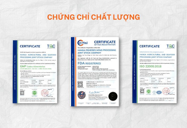 VIOT Minh Trang – Nhà sản xuất và xuất khẩu ớt xay chất lượng cao uy tín