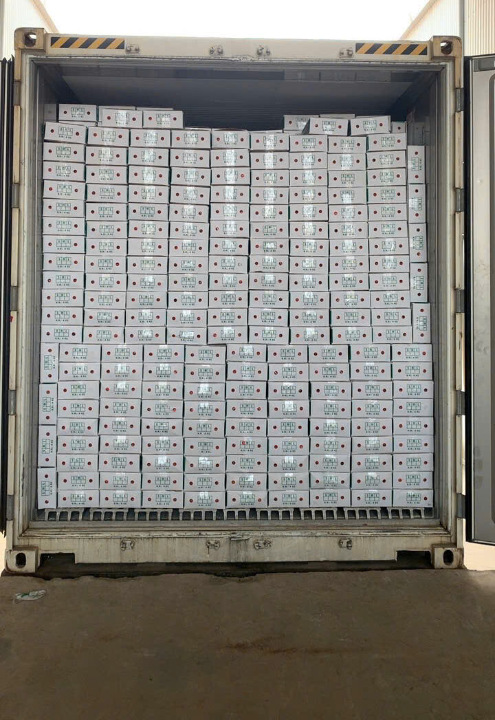 Cà Rốt Tươi Xuất Khẩu: Quy Trình Kiểm Soát Chất Lượng, Chọn Lô Hàng và Truy Xuất Nguồn Gốc Toàn Diện