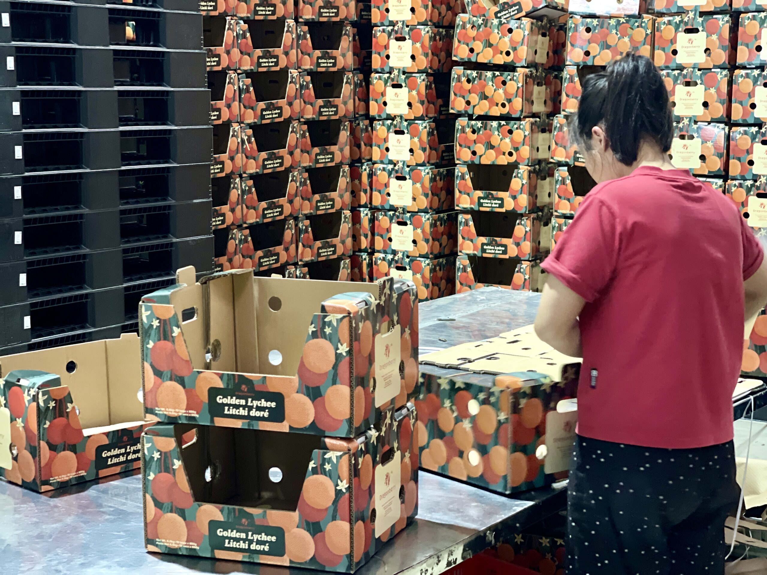 VẢI TƯƠI: GÓC NHÌN THƯƠNG MẠI, LOGISTICS VÀ CHIẾN LƯỢC BOOKING CẬP NHẬT 2026