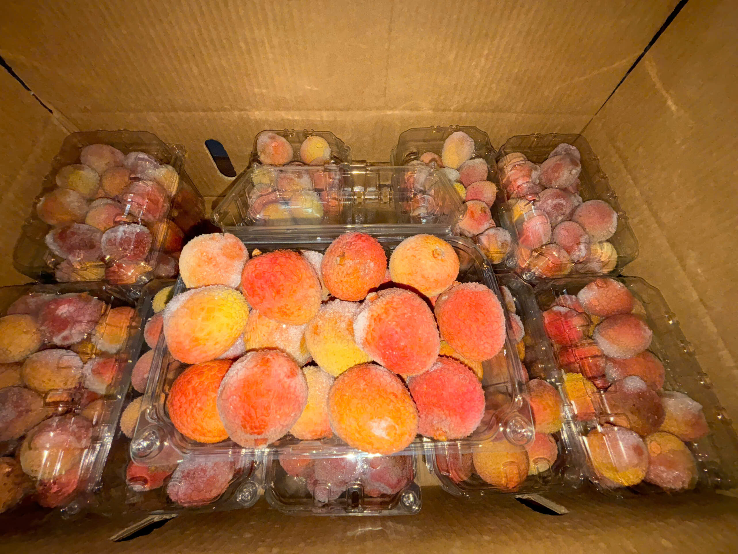 Nguồn cung vải thiều Việt Nam tươi và đông lạnh cho thị trường quốc tế: vùng trồng, chế biến, rủi ro và cơ hội nhập khẩu