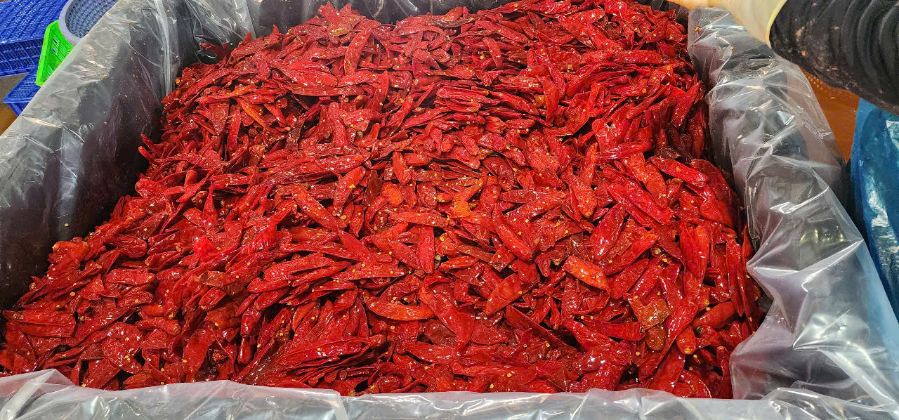 International Standard Pickled Chili Export | VIOT Company