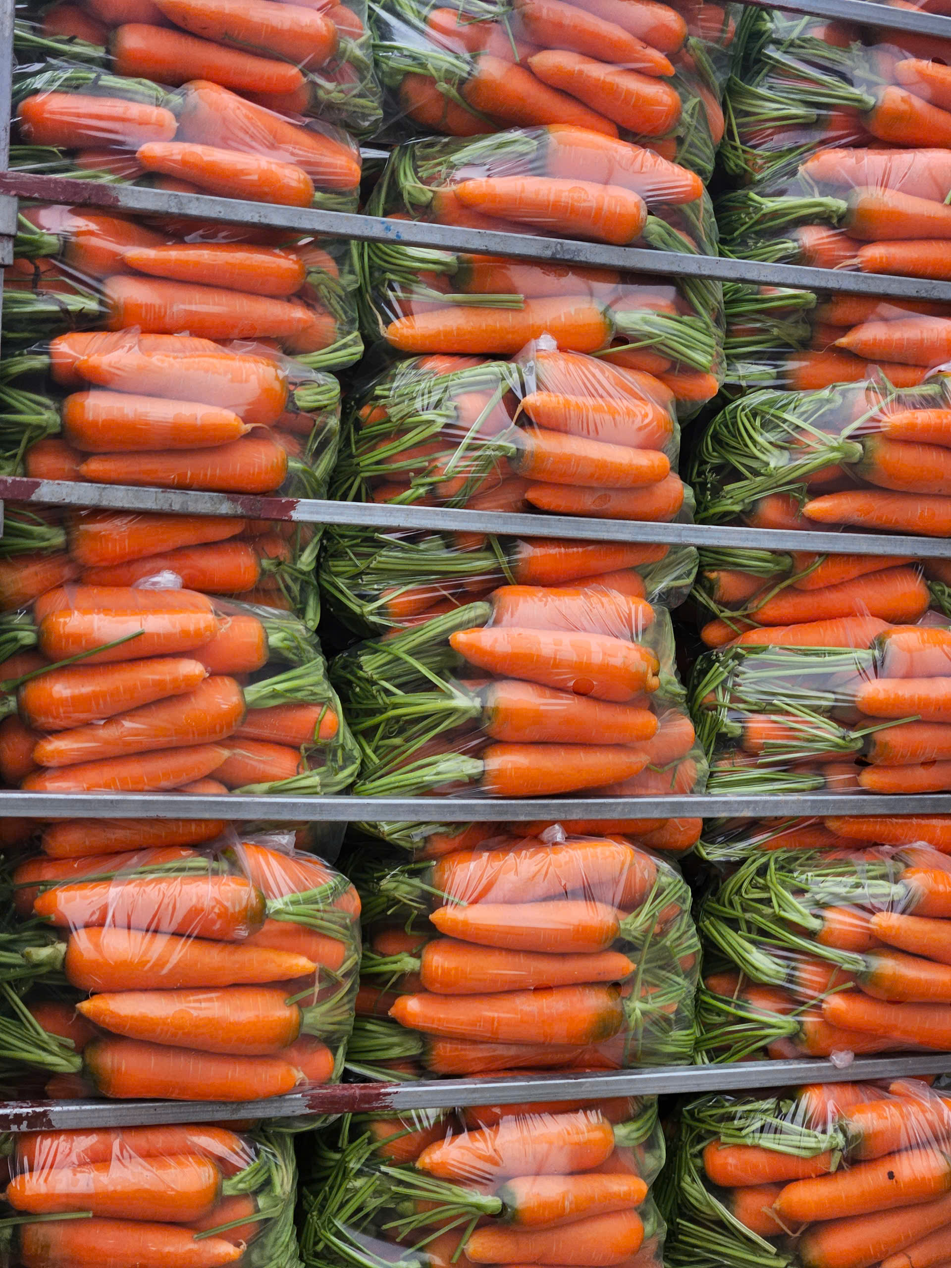 What Makes Vietnamese Carrots Superior to Competitors? | VIOT Export