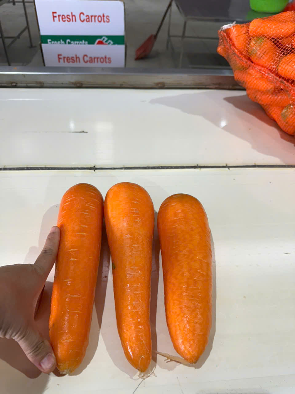 Premium Vietnam Carrot Export to Malaysia | Certified Global & Halal Compliance