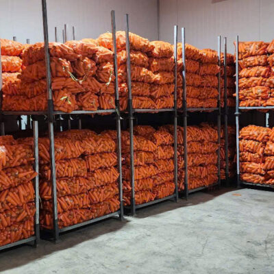 Cung Cấp Cà Rốt Cho Bếp ĂN Công Nghiệp Giá Sỉ | Tổng Kho VIOT
