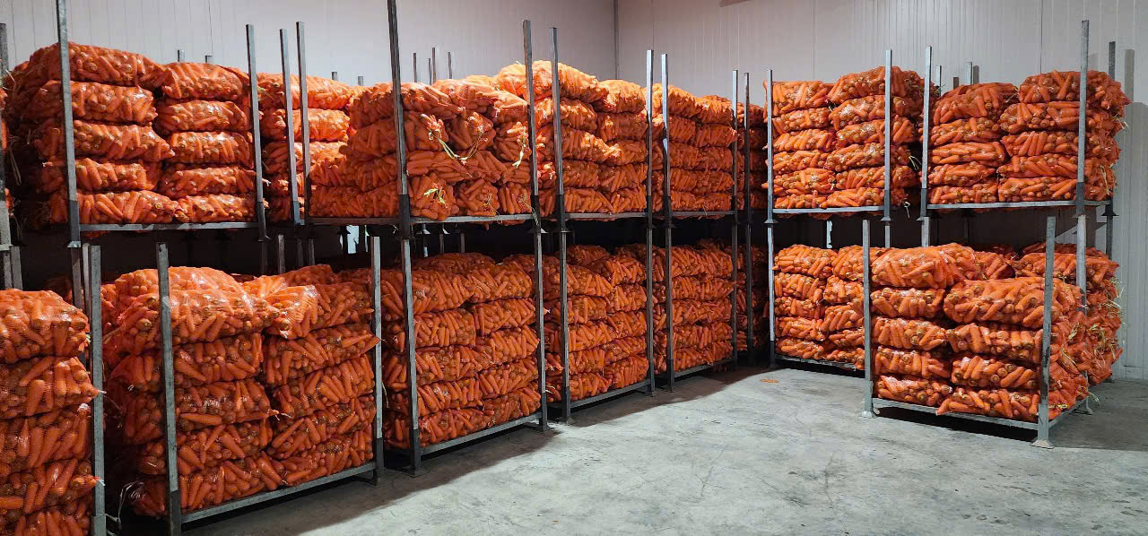 Cung Cấp Cà Rốt Cho Bếp ĂN Công Nghiệp Giá Sỉ | Tổng Kho VIOT