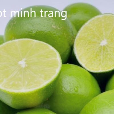 SEEDLESS LIME