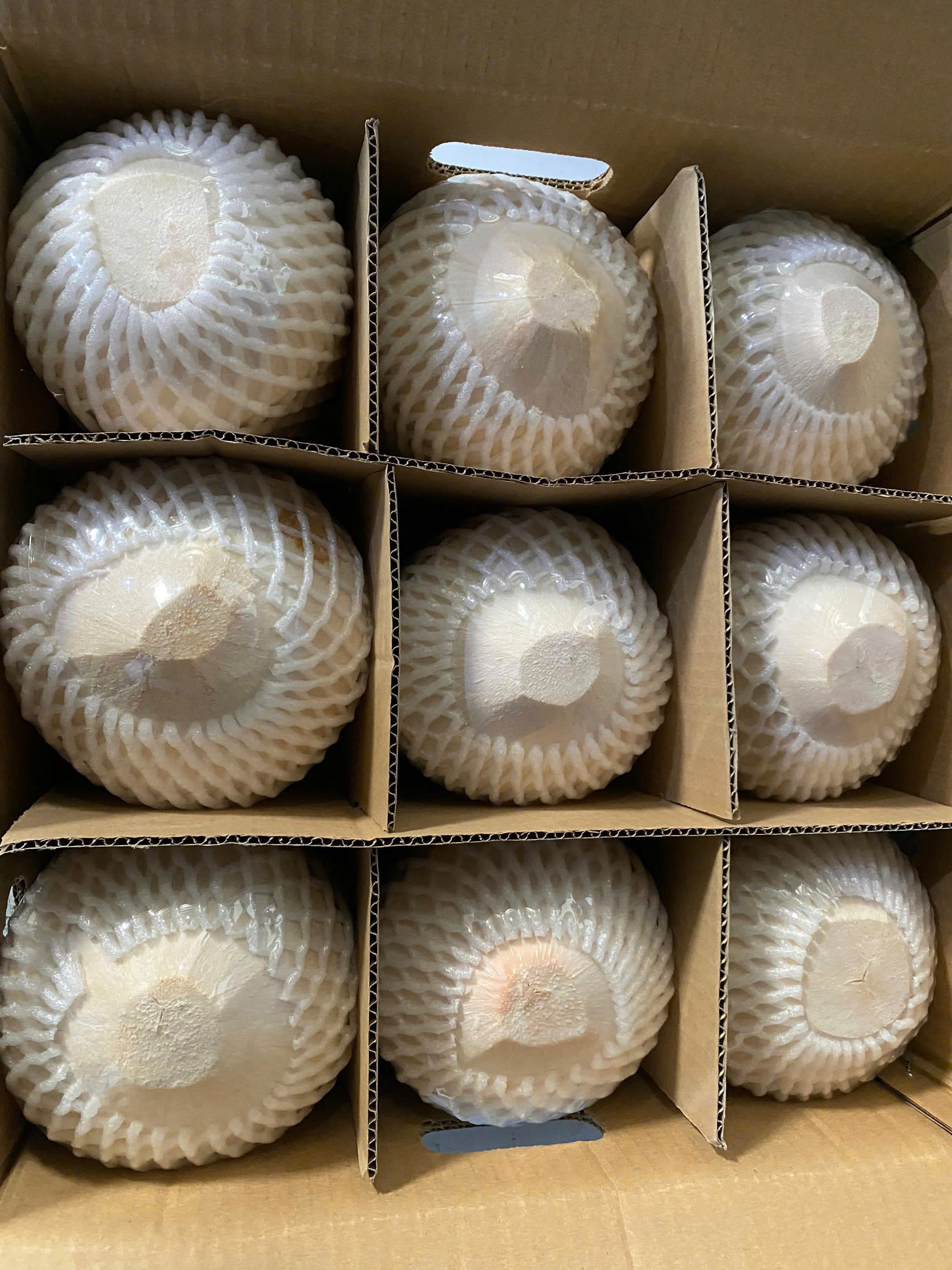 Fresh coconut is one of Vietnam’s promising tropical agricultural products, well aligned with the global trend toward natural, healthy, and convenient consumption. With stable supply, careful selection, flexible packaging, and professional export orientation, Viot Minh Trang is ready to become a reliable partner for both domestic and international customers.
Viot Minh Trang is committed to delivering Vietnamese fresh coconuts with consistent quality, attractive appearance, flexible supply capacity, and long-term cooperation value.