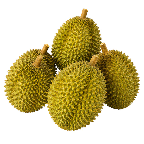 Sầu riêng tươi