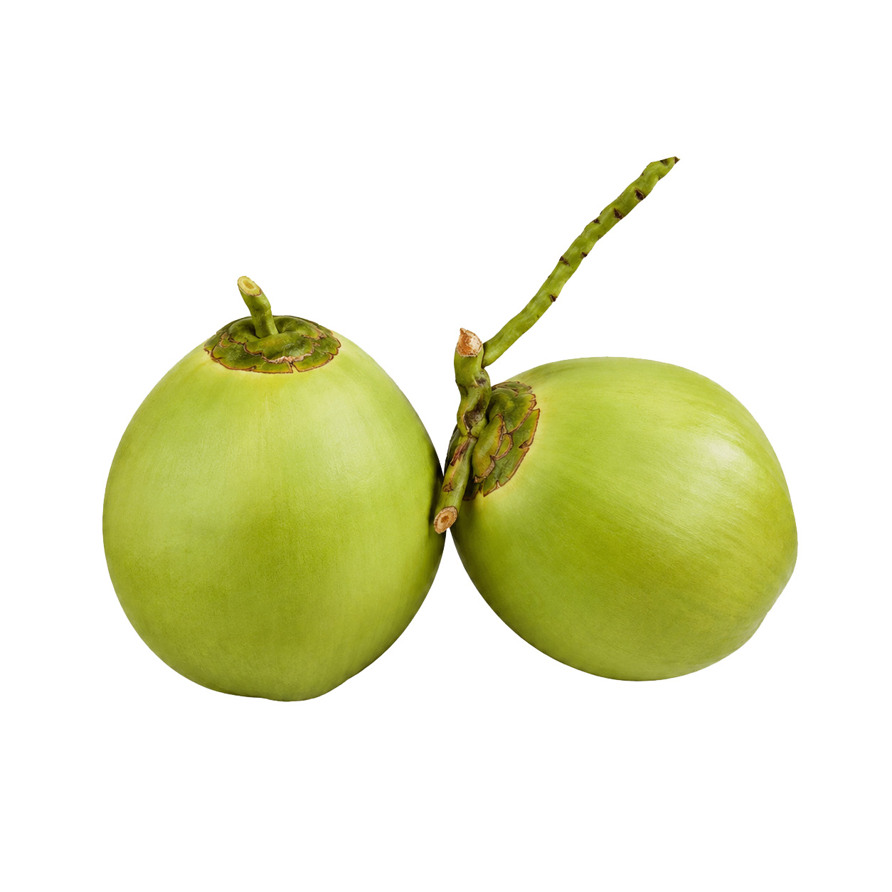 Dừa tươi - Ảnh 3